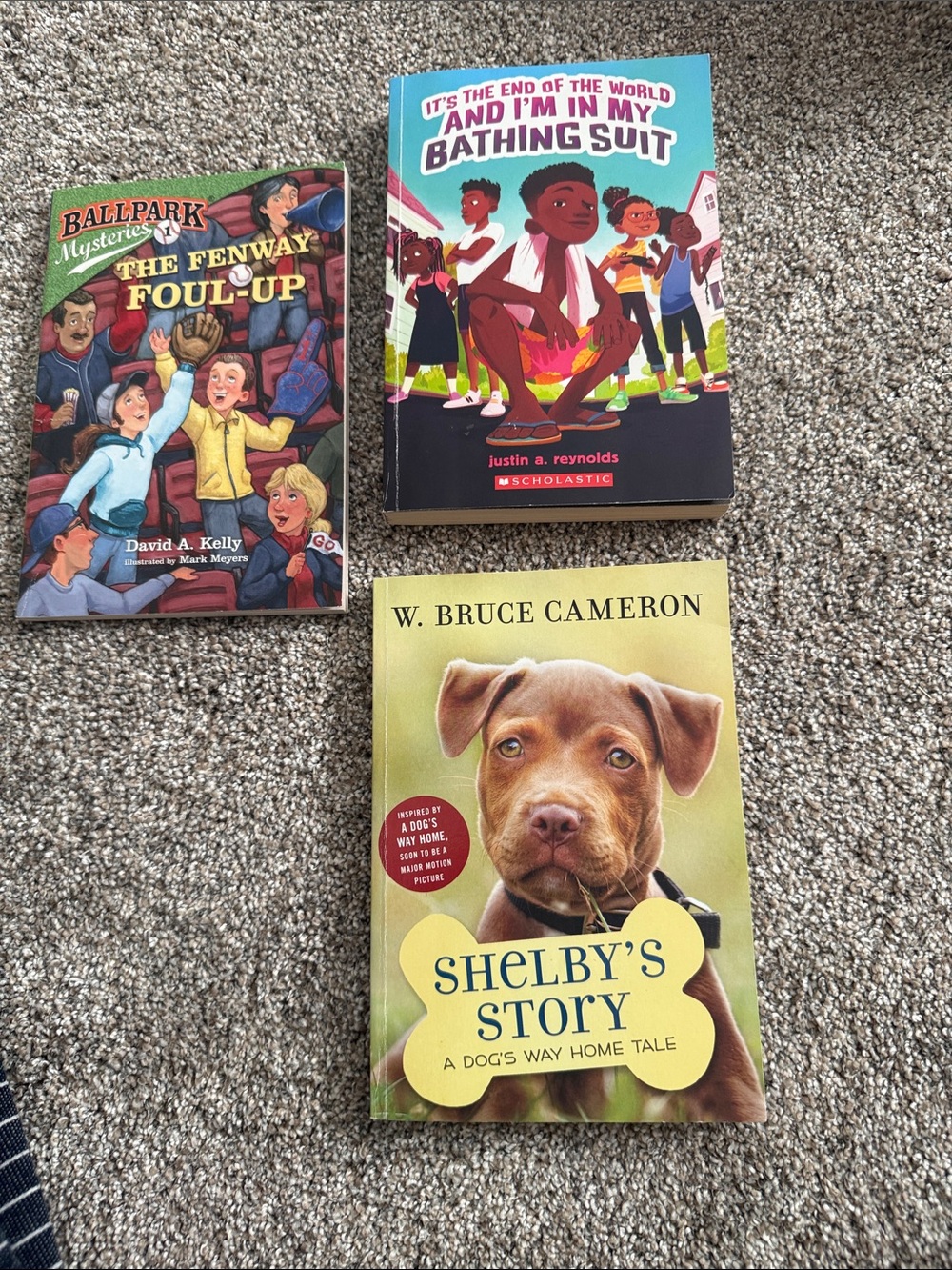 Set of 3 chapter books- great for students in grades 3-5!